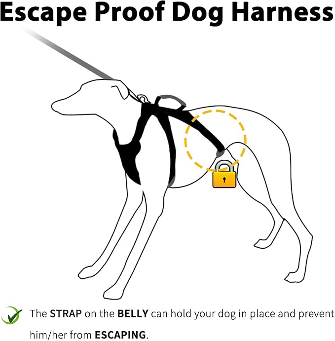 Huntboo Escape Proof Dog Harness, No Pull Reflective Harness with Lift Handle, Adjustable Pet Vest with Front and Back Leash Clips for Small Medium Large Dogs Walking Hiking Training (Pink,L)