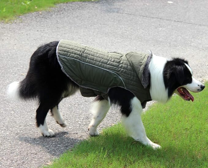Fleece Dog Hoodie for Medium Dogs Super Warm Doggie Jacket for Cold Winter Dog Coats,Green L
