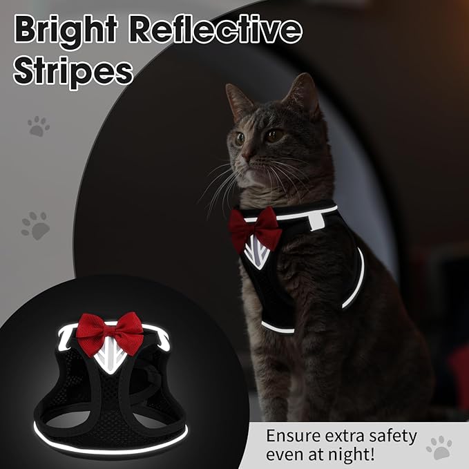 Cat Vest Harness and Leash Set for Walking Escape Proof, Adjustable Kitten Harness Breathable Mesh with Reflective Strips Harness for Kitty Puppy Bunny (Black,M)