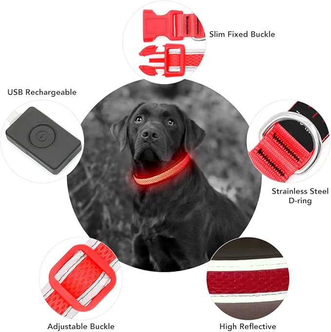 YFbrite Light up Dog Collar, USB Rechargeable LED Puppy Collar Super Bright Adjustable Glowing Dog Lights for Night Walking (Red, Medium)