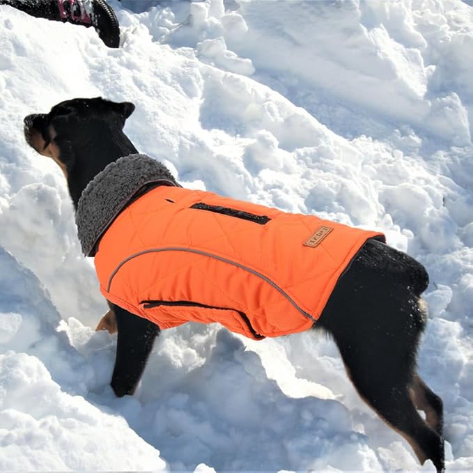 EMUST Dog Jackets for Winter, Cold Weather Coats for Dogs, Soft Winter Jackets for Medium Large Dogs, Orange, L