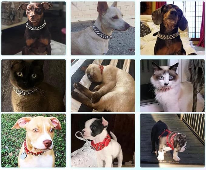 Spiked Dog Collar Soft Pu Leather Mushrooms Rivet Spike Studded Puppy Adjustable Pet Collars for Small Breeds (S, Yellow)
