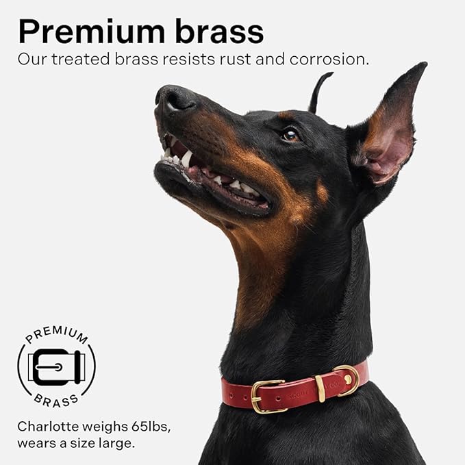 Classic Genuine Leather Dog Collar | Dog Collars for Medium Dogs, Small Dogs, Large Dogs & Extra Large Dog | Wide Dog Collar | Heavy Duty Dog Collar (Red, S: 0.5" Wide for 7.5"-10.5" Neck)