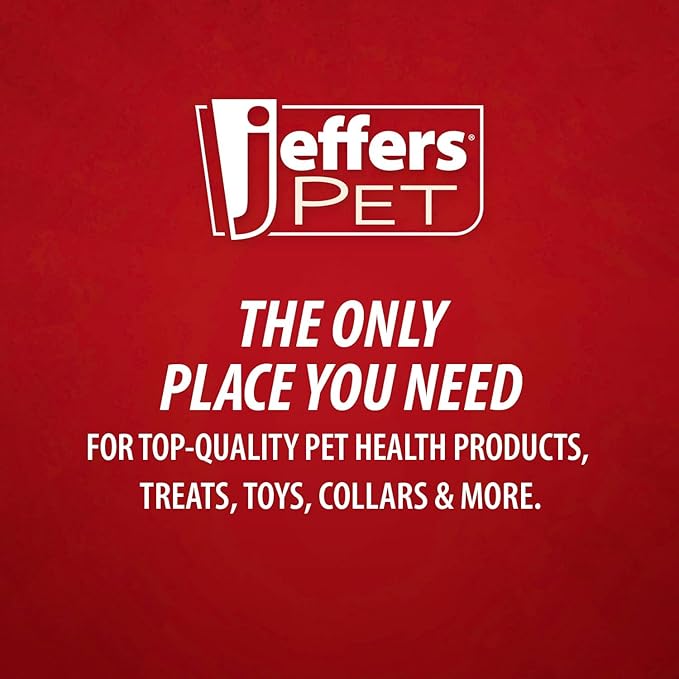 Jeffers Pet Plush Dog Toy with Squeaker, Fuzzy Star 8" - Soft Crinkle Fabric, Safe & Durable, Healthy Fun for Small & Medium Dogs, Interactive Play, Fetch, Tug - Best Gift for Active Games