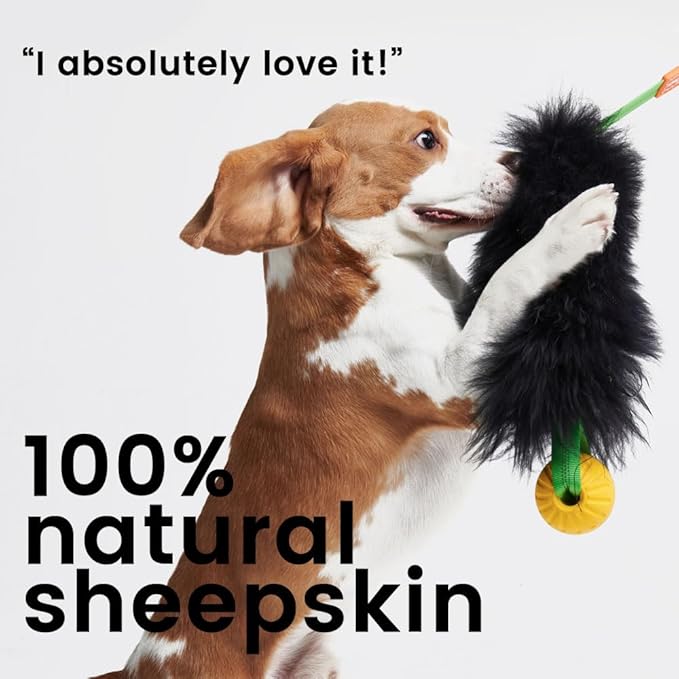 HOWGO Dog Rope Toy,Dog Bungee Chaser Toy 100% Sheepskin,Sheep Smell Tug Toy for All Breeds (Green, Short Without Ball)