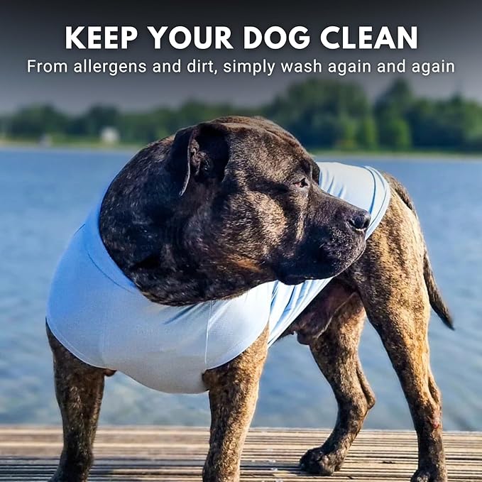 Spark Paws Sunblock Dog T-Shirt, SPF30 Protection, Lightweight Breathable Quick Dry for Dogs with Sensitive Skin - Blue & Mint (Set of 2) - XL