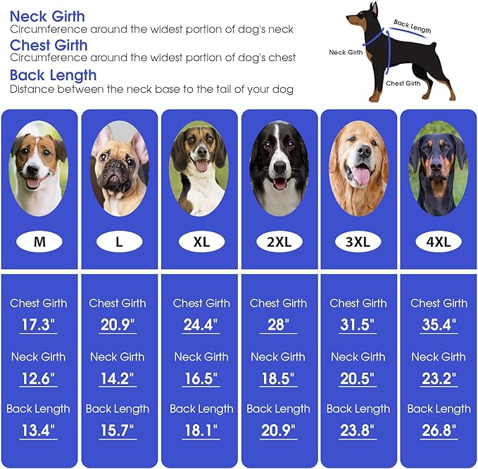 ASENKU Dog Sweater for Small Dog Girls Boys, Fall Winter Turtleneck Long Sleeve Pet Christmas Sweater, Pullover Sweatshirt for Westie, Blue, M
