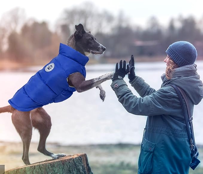 Kuoser Dog Coat Warm Dog Puffer Jacket, Windproof Dogs Padded Vest Lightweight Cold Weather Coats Pet Snowsuit Soft Puppy Winter Clothes for Large Dogs, Button Design, Easy On/Off, Blue XL