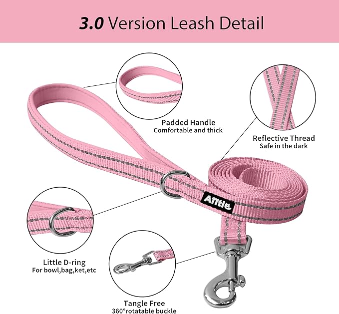 AIITLE Comfortable Dog Harness and Leash Set for Walking - Summer Step in Vest Harness,Reflective Bands, Adjustable No Pull Puppy Essentials, for Small Dogs and House Cats Pink XS
