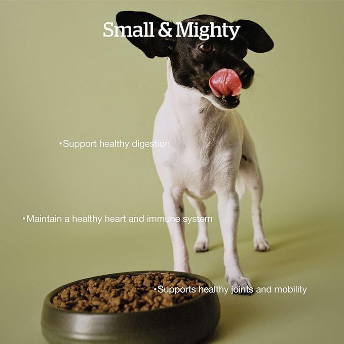 Now Fresh Grain-Free Small Breed Senior Dry Dog Food with Turkey, Salmon & Duck, Premium Kibble Made with Real Meat & Fish, Chicken-Free, Added Glucosamine & Chondroitin for Healthy Joints, 3.5 lb Bag