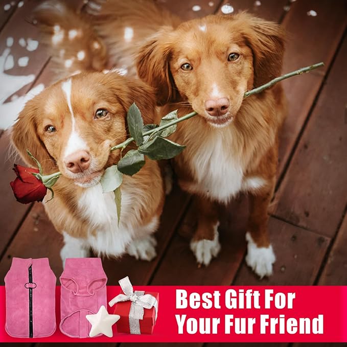 Idepet Dog Fleece Vest Sweater Zip Up Warm Pullover Dogs Jacket with D-Ring Leash Winter Cold Weater Coat Pet Sweatershirt Clothes Hoodie for Small Medium Dogs Boy Girl (Rose Red, L)