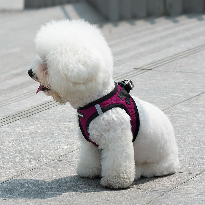 Best Pet Supplies - All Weather Mesh / Plush, Reflective, No Pull Harness for Small, Medium Dogs, Cats - Secure with Hook & Loop Fastener, Buckle, Double D-Rings - Red Rose Plush, XL