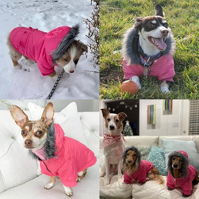 LESYPET Dog Coat for Small Dogs, Windproof Doggie Puffer Jacket with Leash Hole, Extra Warm Dog Jacket Winter Coat, Pink S