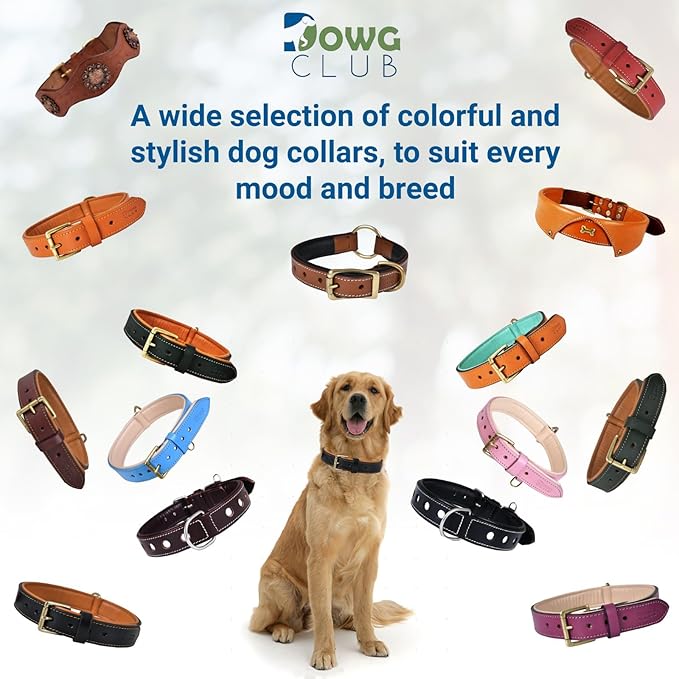 Leather Dog Collar for Extra Large Dogs, Light Pink, 1.5 Inch Wide, Genuine Leather, Heavy Duty with Soft Inner Padding, Comfortable and Durable(Blush Pink, XL (Fit Neck Size 22"-26"))