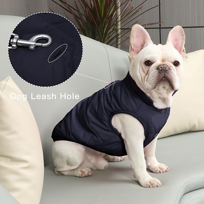 2 Layers Fleece Lined Warm Dog Jacket for Puppy Winter Cold Weather,Soft Windproof Small Dog Coat,Blue XS