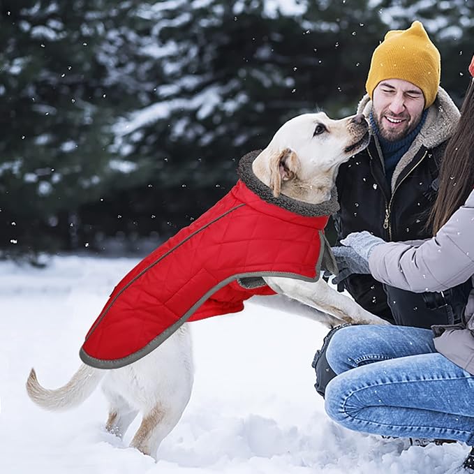 Fragralley Dog Coat Large, Waterproof Dog Jacket with Warm Fleece Lining, Adjustable Reflective Dogs Winter Coat, Turtleneck Pet Coats for Cold Weather (Red XXXL)