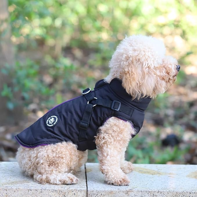 Norbi Dog Coat - Winter Jacket with Built-in Harness, Adjustable Warm Coats for Small to Large Dogs in Cold Weather