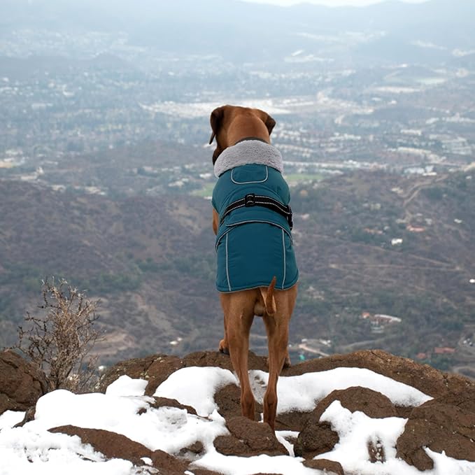 Lelepet Warm Dog Coats for Medium Dogs Waterproof Dog Winter Jacket Reflective Pet Fleece Vest Windproof Cold Weather Coats with Adjustable Buckle & Leash Hole, Dark Green, M