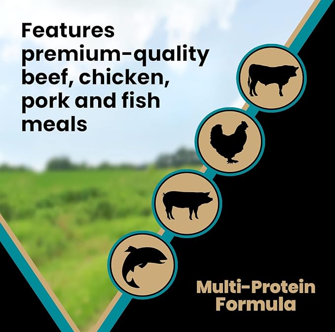 VICTOR Super Premium Dog Food – Hi-Pro Plus Dry Kibble – High Protein Dog Food with 30% Protein – Beef, Chicken, Pork, Fish Meals, Gluten Free - for High Energy and Active Dogs & Puppies, 5lbs