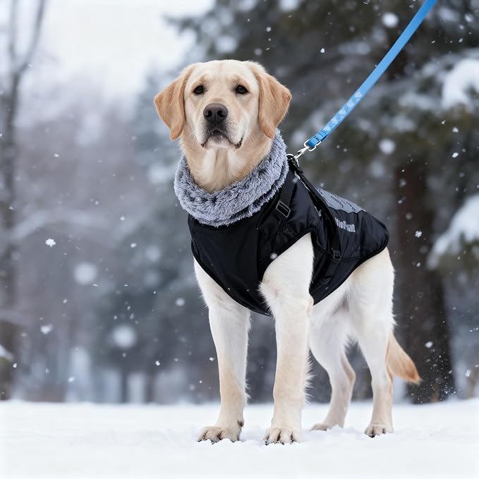 Dog Coat for Medium Large Dogs,Waterproof Reflective Dog Winter Jacket with Harness, Fleece Snowsuit,Warm Pet Winter Coat(Reflective blue-4XL)