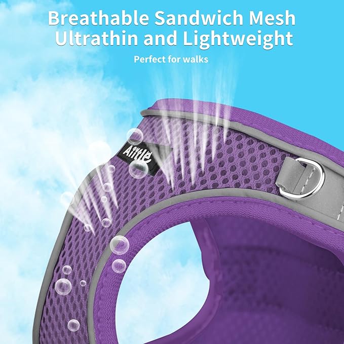 AIITLE Comfortable Dog Harness and Leash Set for Walking - Summer Step in Vest Harness,Reflective Bands, Adjustable No Pull Puppy Essentials, for Small Dogs and House Cats Pure Purple XS