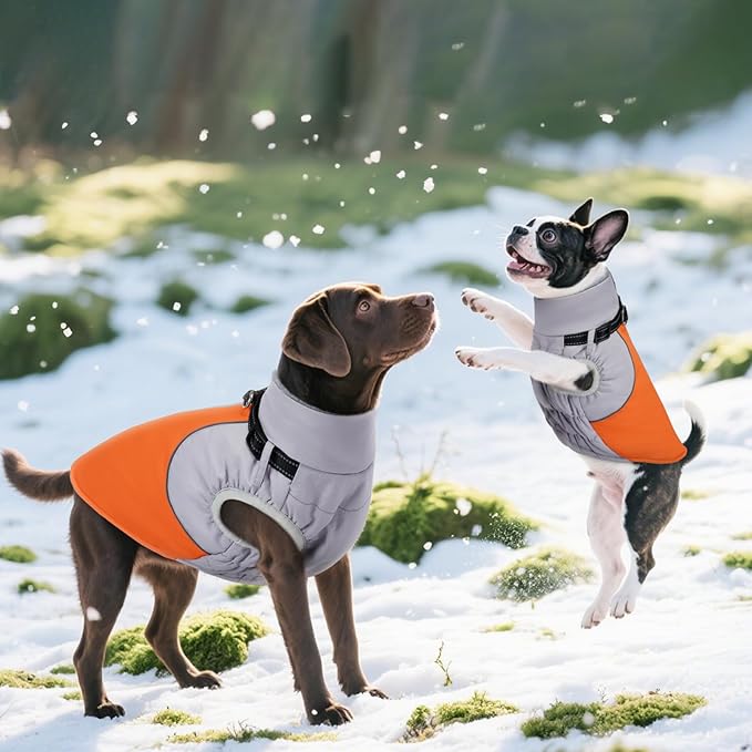 DENTRUN Dog Coat with Harness Built in, Outdoor Reflective Dog Jacket, Windproof Water-Repellent No Sleeves Coat for Large Golden Retriever, Orange, XL