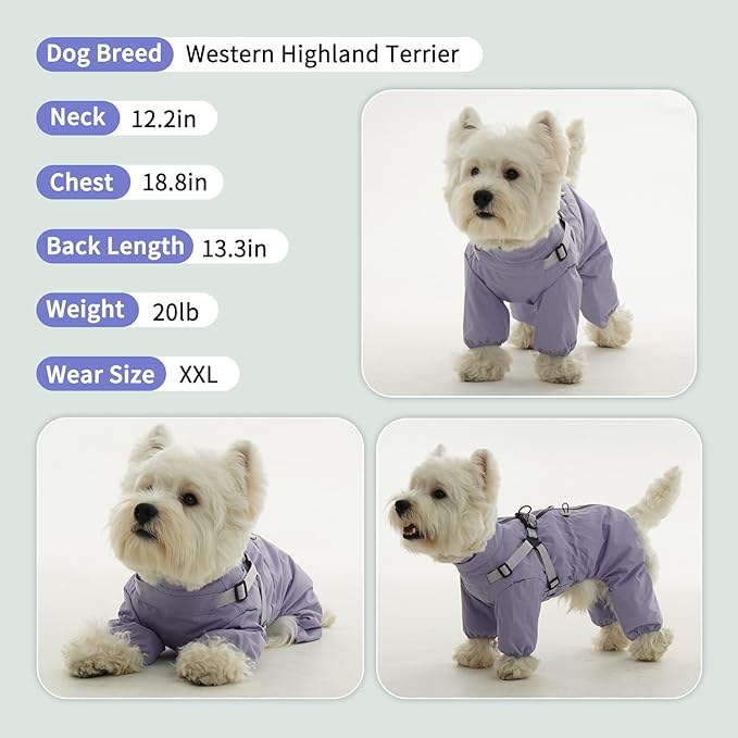 BRKURLEG Dog Raincoat for Small Dogs, Small Dog Rain Jacket with Harness Built in, Waterproof 4 Legs Puppy Raincoats, Puppy Outdoor Jacket with Reflective Strip, Purple, XXXL
