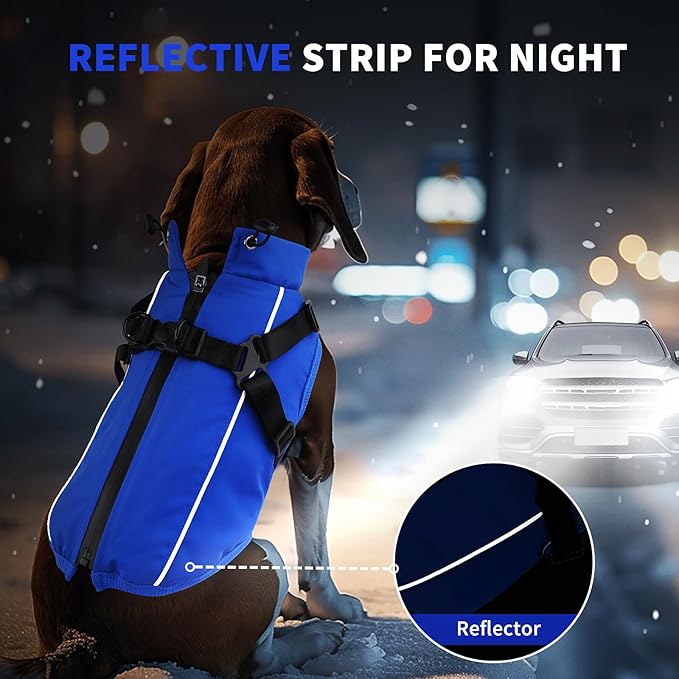 Dog Winter Coat Reflective Water-Resistant Jacket, Fleece Lined Windproof Puppy Coat with Back Zipper & D-Ring, Cold Weather Dog Coats for Small Medium Large Dogs （XXL,Blue）