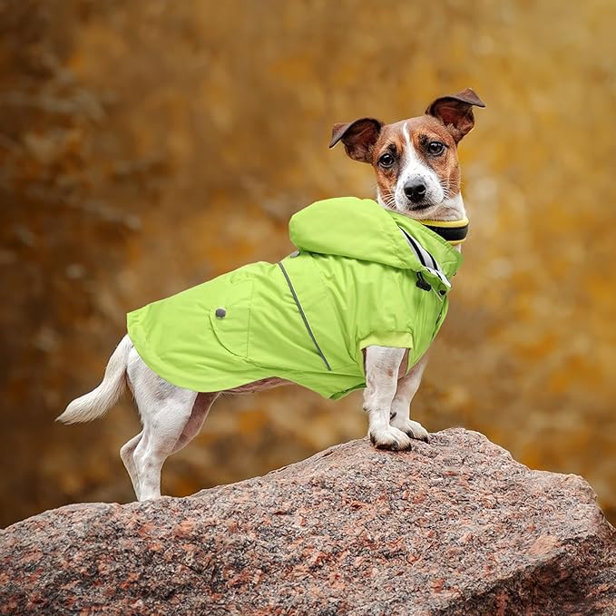 Dog Raincoat Waterproof Raincoats Dog rain Jacket Buttons Zipper Hood Drawstring Suitable for Small Medium Yorkie Terrier Schnauzer Poodle Border Collie Labrador 8lbs to 80lbs Green S