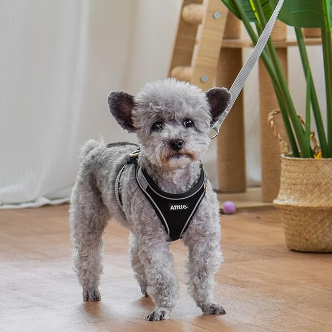 AIITLE Step in Dog Harness and Leash Set - Summer No Pull Escape Proof Vest Harnesses with Soft Mesh and Reflective Bands, Adjustable Pet Outdoor Harnesses for Small and Medium Dogs Black M