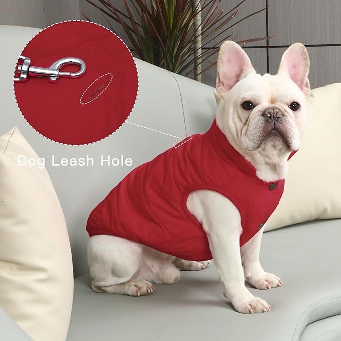 2 Layers Fleece Lined Warm Dog Jacket for Puppy Winter Cold Weather,Soft Windproof Small Dog Coat,Red M
