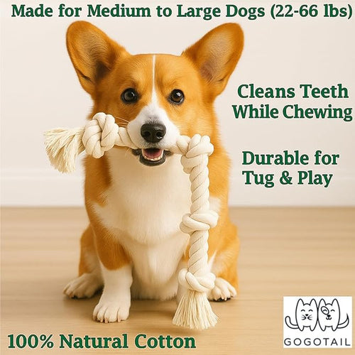 2-Pack White Dog Rope Toys for Aggressive Chewers – 20” Durable 4-Knot Tug Toy for Medium & Large Dogs – Safe, Indoor & Outdoor, Washable Cotton Chew Toy for Dental Health