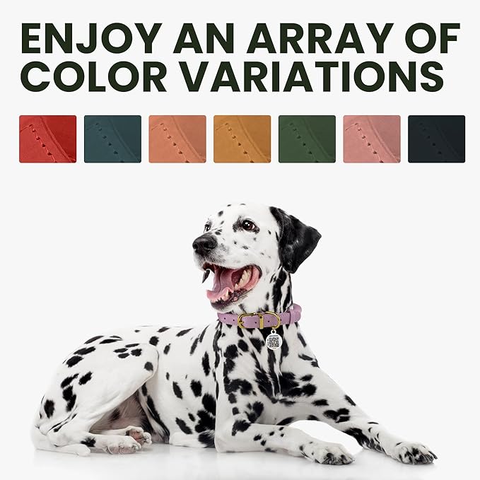 BronzeDog Rolled Leather Dog Collar with QR ID Tag, Adjustable Soft Round Collars for Small Medium Large Dogs Puppy (7" - 10" Neck Size, Turquoise)