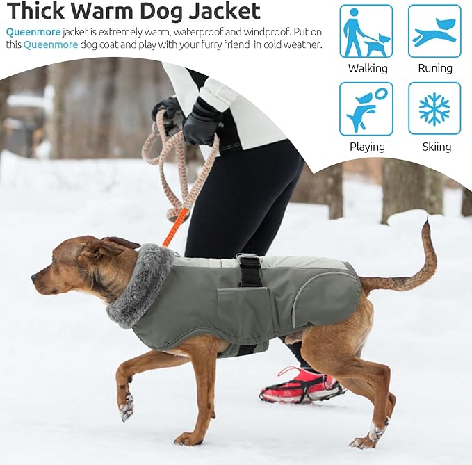 Queenmore Winter Dog Jacket - Warm Reflective, Waterproof Coat for Small Dogs, Grey, S
