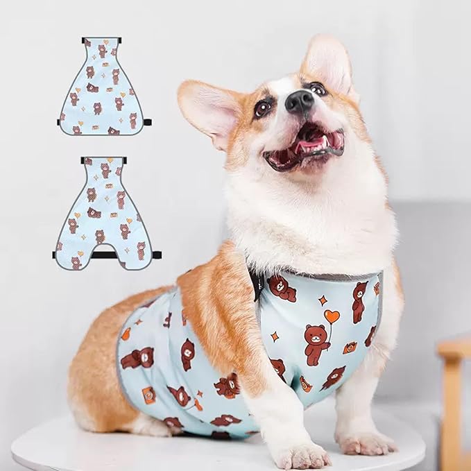 Waterproof Belly Shield for Corgis & Dachshunds – Adjustable underbelly Protector. Male/Female Designs. Stays Dry in rain, mud & Grass. Ideal for Sensitive Skin (Blue - Female, XS)