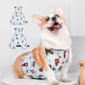 Waterproof Belly Shield for Corgis & Dachshunds – Adjustable underbelly Protector. Male/Female Designs. Stays Dry in rain, mud & Grass. Ideal for Sensitive Skin (Blue - Male, M)