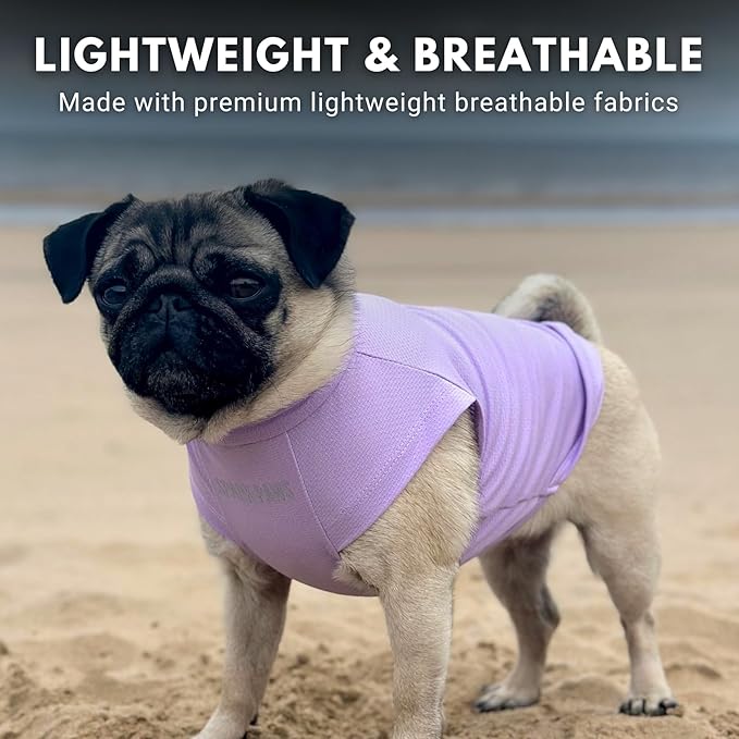 Spark Paws Sunblock Dog T-Shirt, SPF30 Protection, Lightweight Breathable Quick Dry for Dogs with Sensitive Skin - Purple & Peach (Set of 2) - XL