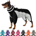 SUNFURA Full Body Dog Coat - Warm Fleece Jacket for Small Dogs, Turtleneck Winter Coats with Harness, Reflective Dog Snowsuit Windproof Puffer Jackets with Legs for Chihuahua, Yorkie, Black XS