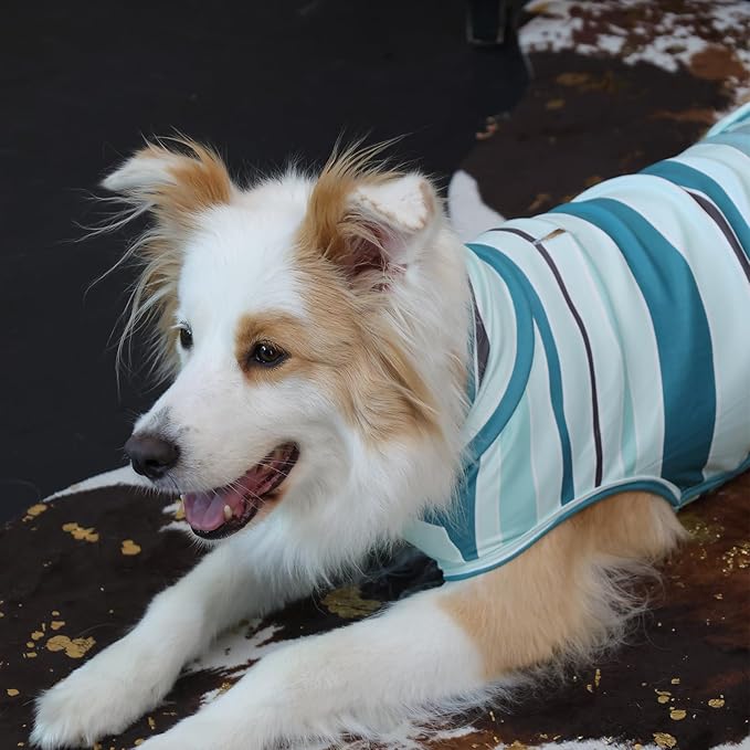 ROZKITCH Striped Dog Sweater with Leash Hole,Cute Pet Shirt Stretchy Comfort Fit for Doberman, Rottweiler, Great Dane etc All-Day Wear BlueStripe 4XL