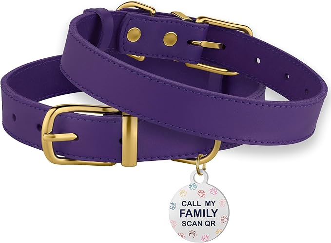 BRONZEDOG Leather Dog Collar with Metal Buckle Durable Basic Pet Collars for Small Medium Large Dogs (13-16 Inch (Pack of 1), Purple & Gold Buckle)