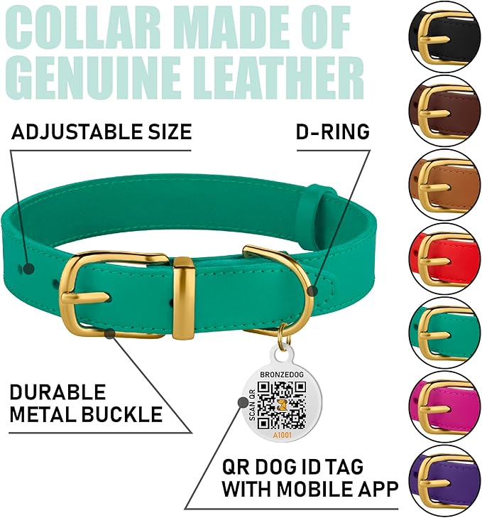 BRONZEDOG Leather Dog Collar with QR ID Tag Basic Pet Collars for Small Mini Dogs Cats Puppies (7-9 Inch (Pack of 1), Green & Gold Buckle)