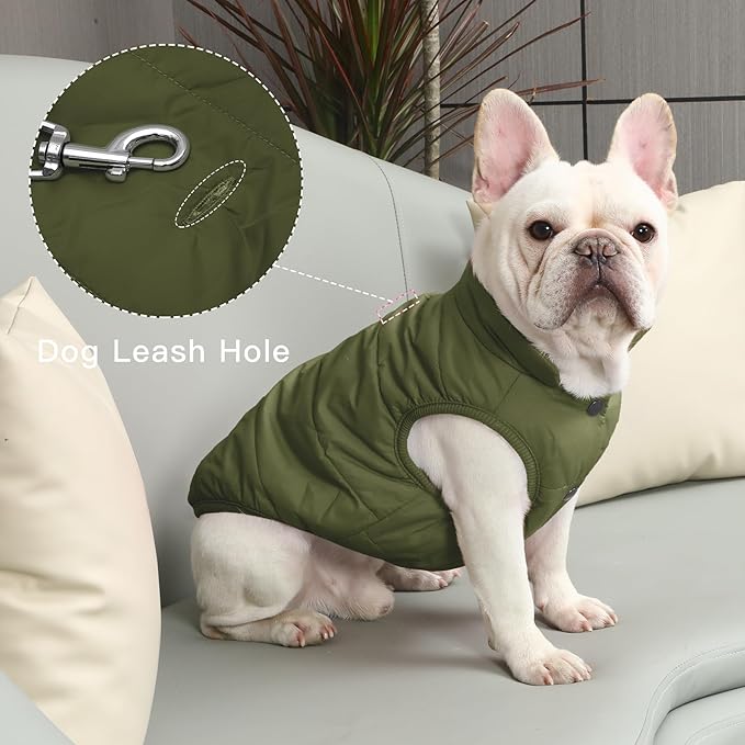 2 Layers Fleece Lined Warm Dog Jacket for Puppy Winter Cold Weather,Soft Windproof Small Dog Coat,Green S