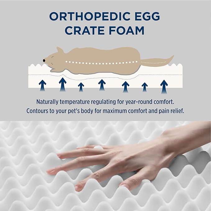 Bedsure XL Dog Beds Large Sized Dog - Extra-Large Comfy Flat Puppy Bed with Removable Washable Cover, Orthopedic Egg Crate Foam Pet Mat, Suitable for Pet Up to 100 lbs