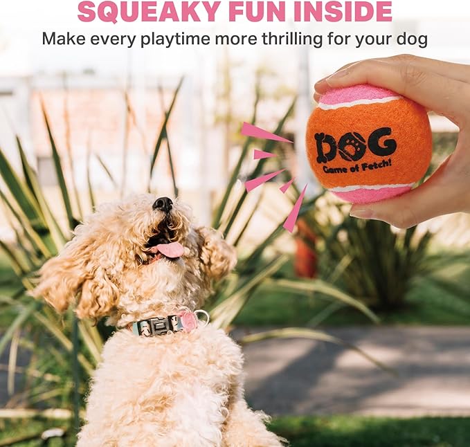 AMA SPORT Squeaky Tennis Balls for Dogs 2.0" Small Dog Tennis Balls for Throwing and Fetching Dog Toys for Training, Exercise, High Bouncing 12 Pack (Multicolor A)