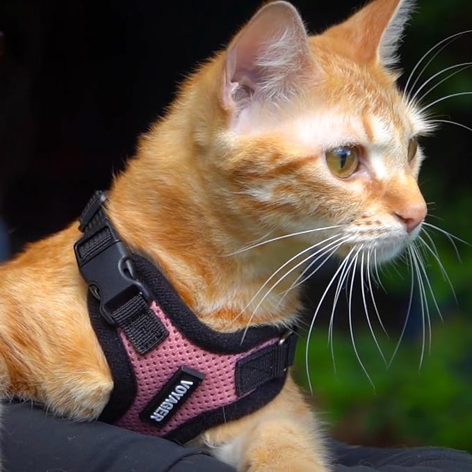Voyager Step-in Lock Adjustable Cat Harness w. Cat Leash Combo Set with Neoprene Handle 5ft - Supports Small, Medium and Large Breed Cats by Best Pet Supplies - Pink/Black Trim, XXXS