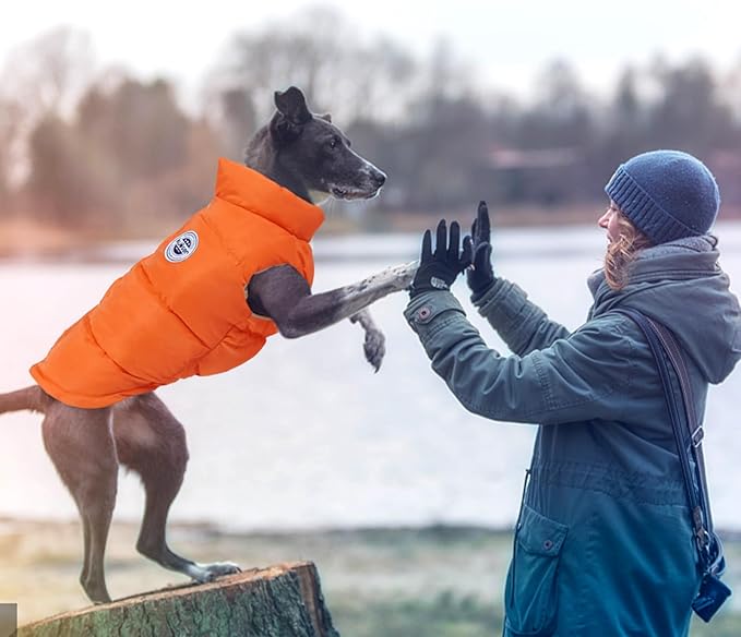 Kuoser Dog Coat Puffer Vest, Warm Dog Jacket Windproof Dogs Cold Weather Coats Pet Snowsuit Padded Vests, Lightweight Puppy Winter Clothes for Small Medium Dogs, Button Design, Easy On/Off, Orange M