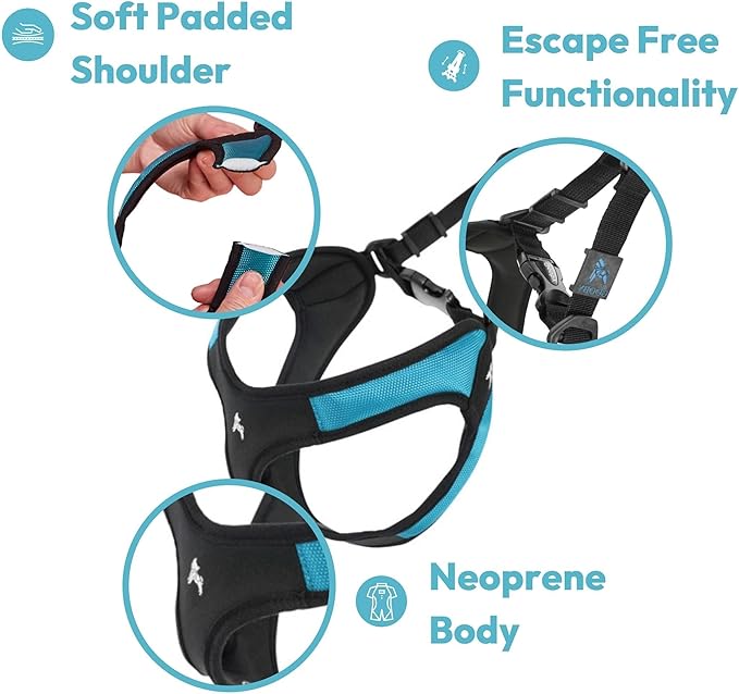 Gooby Turquoise X-Small Easy Fit Harness - No Pull Patented Design for Small Dogs with Quick Release Buckle