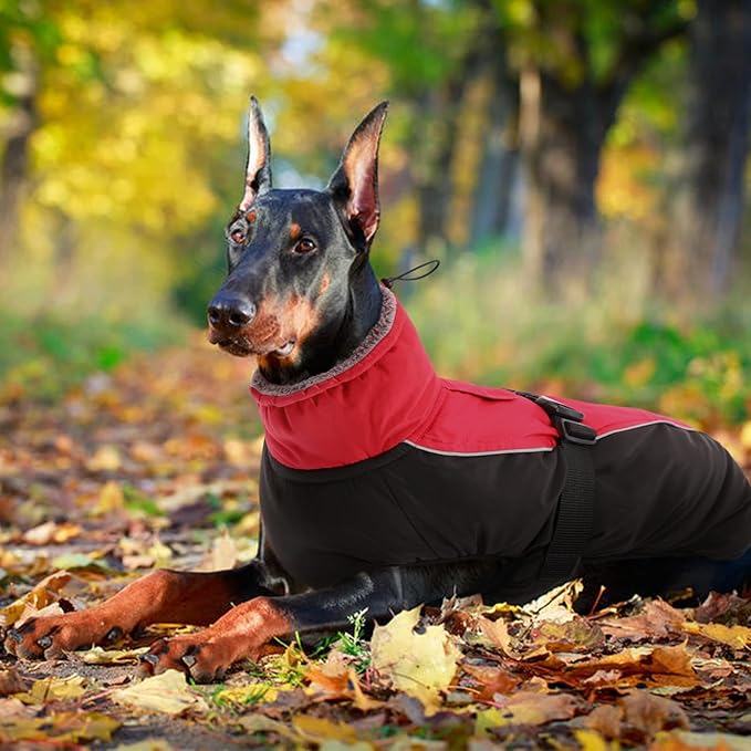 IDOMIK Dog Winter Coat, Reflective Waterproof Dog Jacket for Cold Weather, Warm Pet Coats for Small Medium Large Dogs, High Collar Doggy Fleece Snow Jacket, Winter Vest with Adjustable Buckle,M