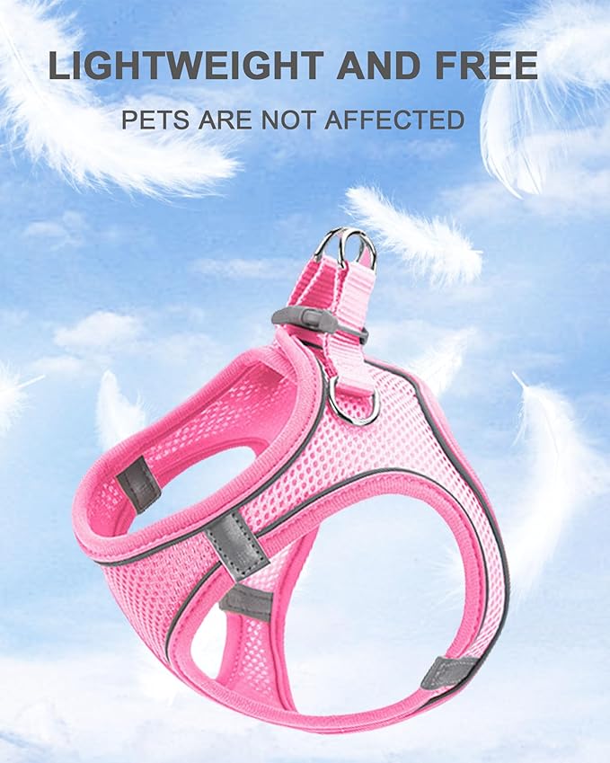 XXXS Red Soft Mesh Dog Harness and Leash Set,No Escape Puppy Harnesses for Training Walking， Reflective Adjustable Puppy Vest for Small Medium Dogs, Cats (Red, XXXS)