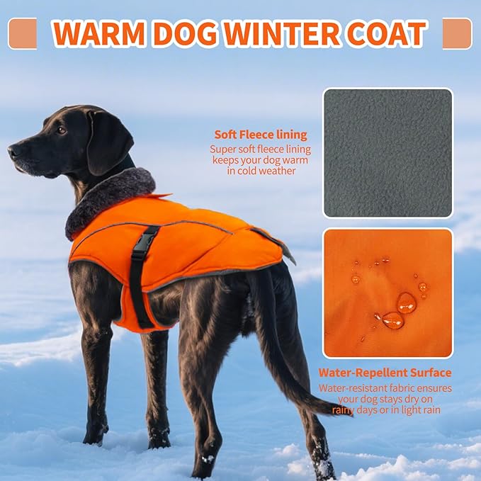 DENTRUN Dog Winter Coat - Windproof Reflective Jacket, Plush Turtleneck & Adjustable Belt, Water Repellent Fleece Lined Cold Weather Vest for Corgi Bulldog, Orange, L